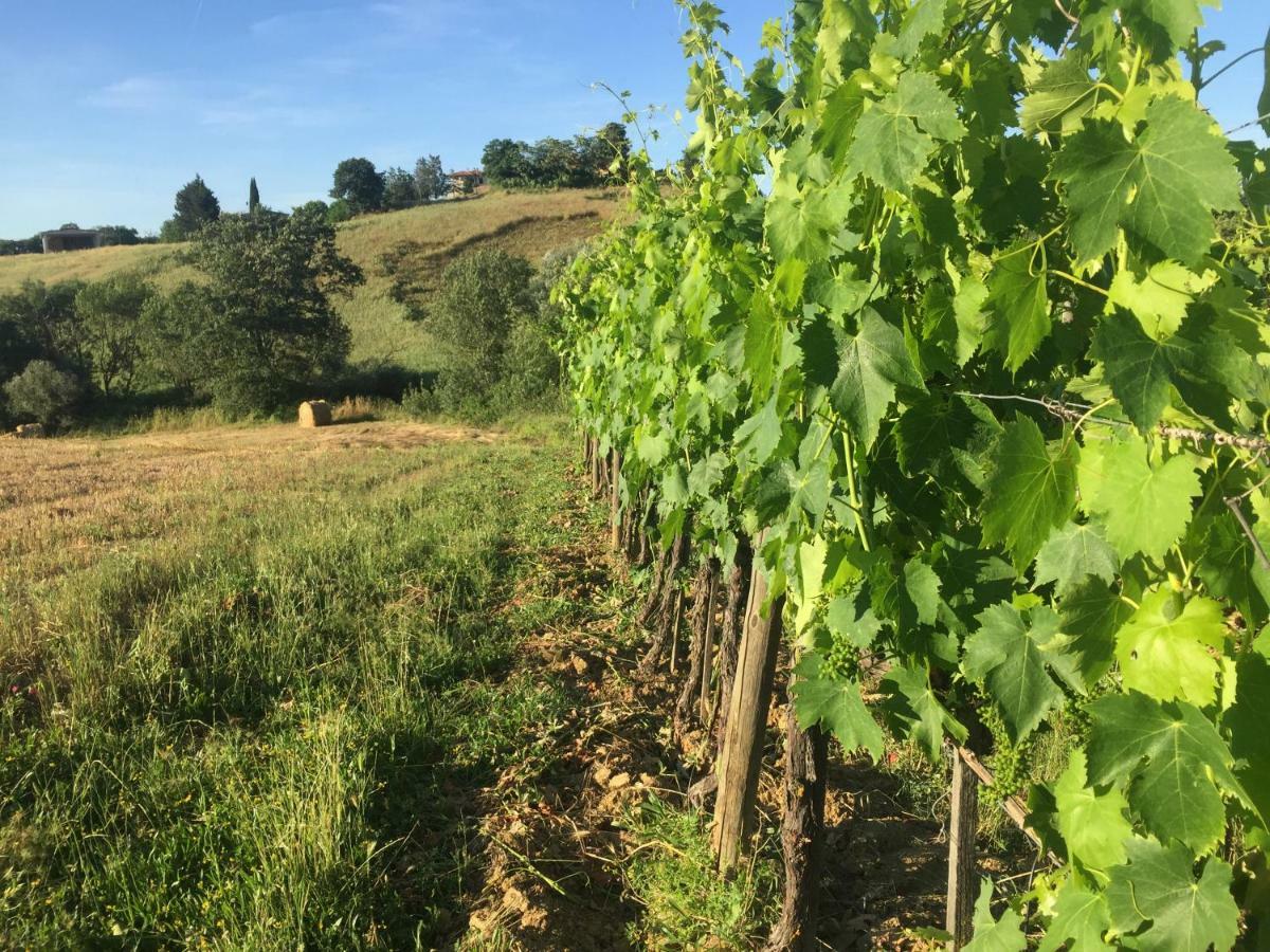 Poggio Alla Pietra 26 Porrona Kültér fotó